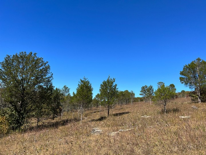 Herp Habitat